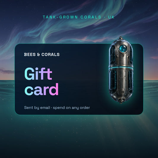 Bees & Corals gift card